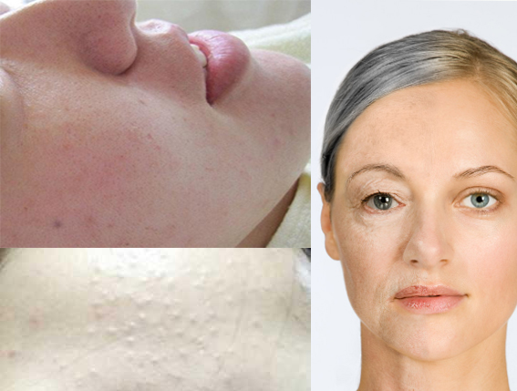 新西兰奶源羊奶,新西兰好健康羊奶