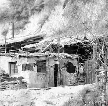 奉化芋头好吃还是荔浦芋头好吃,中国哪个地方的芋头最好吃