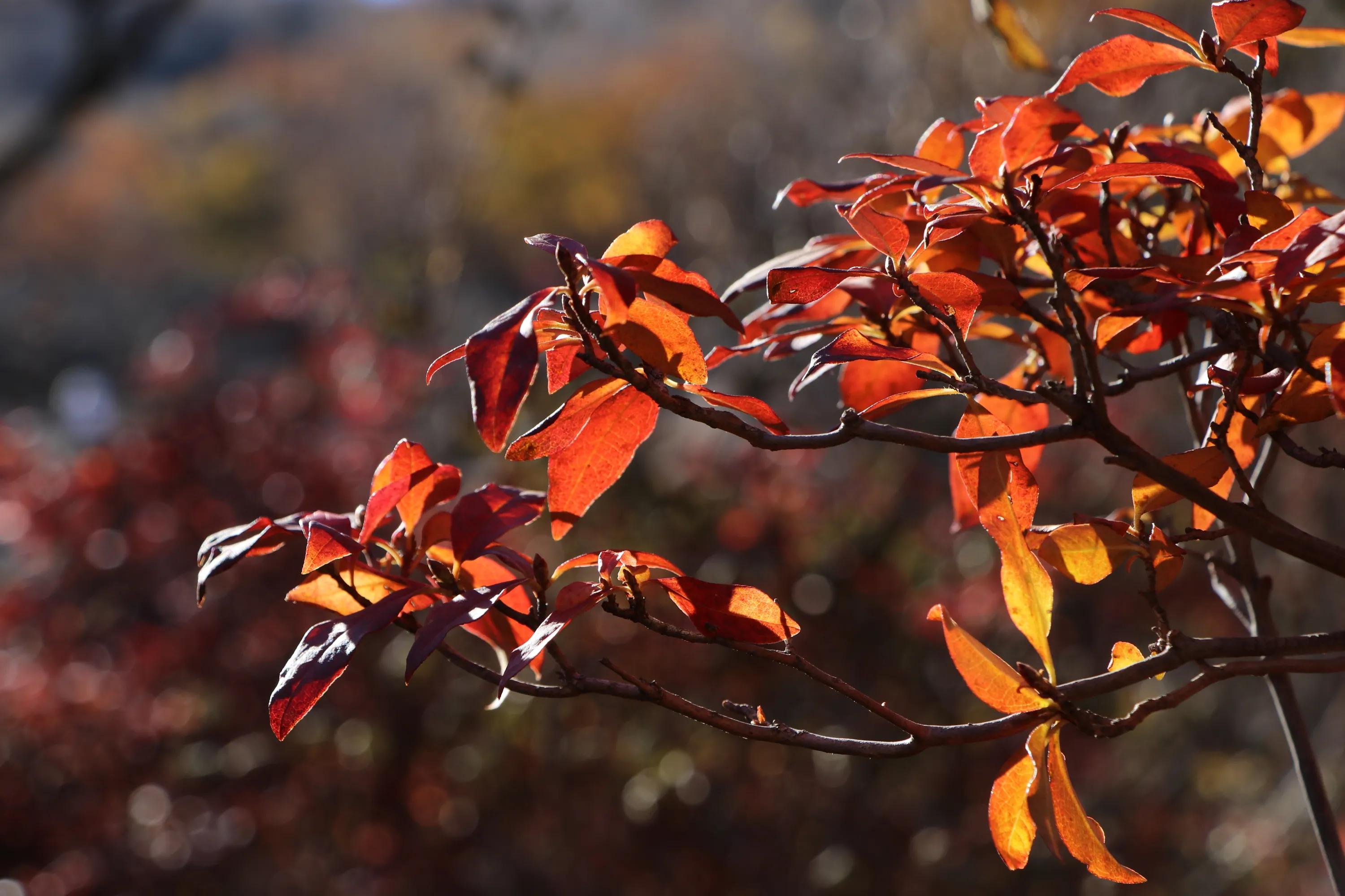 怀柔喇叭沟门原始森林2日自驾游,怀柔喇叭沟门原始森林骑行