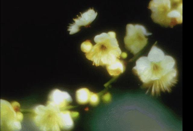 浪客剑心真人版豆瓣8.7分,国创电影的优势流失,被岛国慢慢拿起