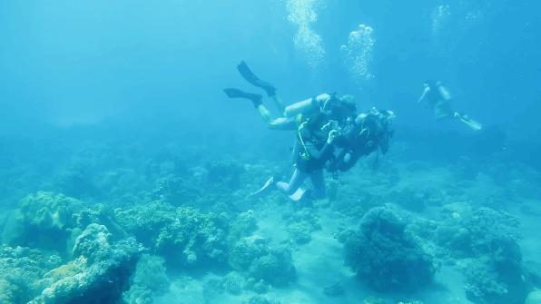 去宿雾攻略,宿雾旅行攻略