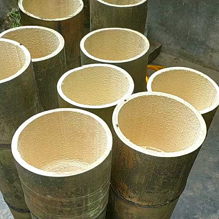 正宗巨龙竹苗怎么种,巨龙竹种子育苗程序