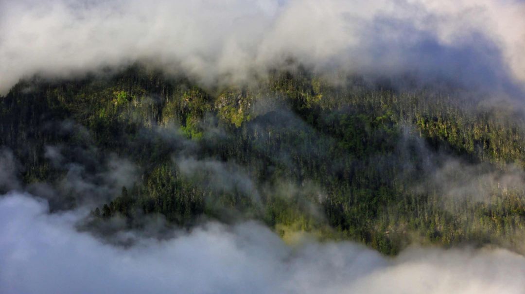 有一种风情叫江南烟雨,波密塞外江南