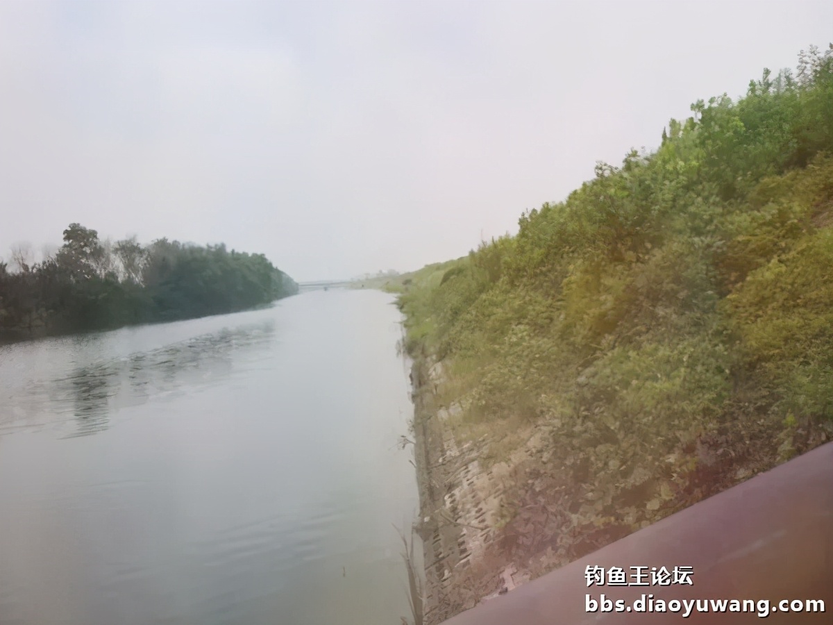 疯钓鲫搭配,疯钓鲫本味单开效果怎么样