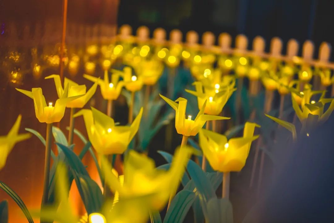 成都南湖梦幻岛嬉水乐园清凉回归,梦幻岛水陆乐园套票