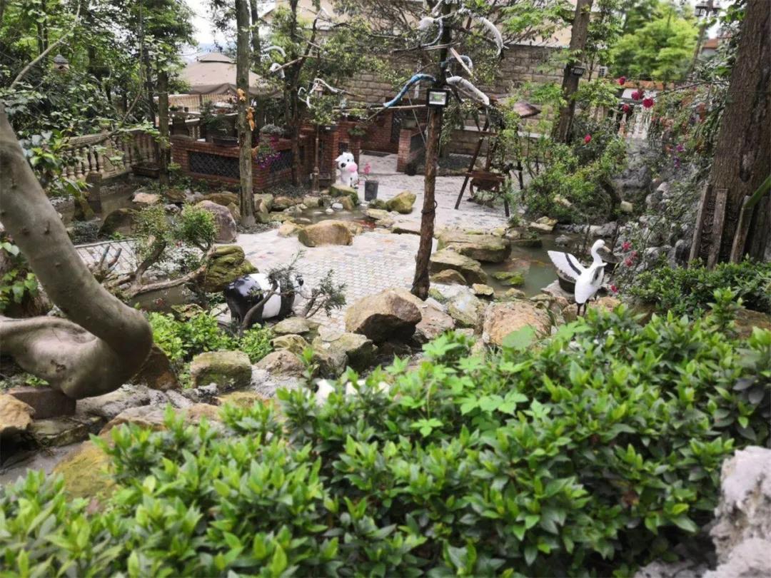 都江堰有座百花村藏了不少民宿呢,都江堰百花村