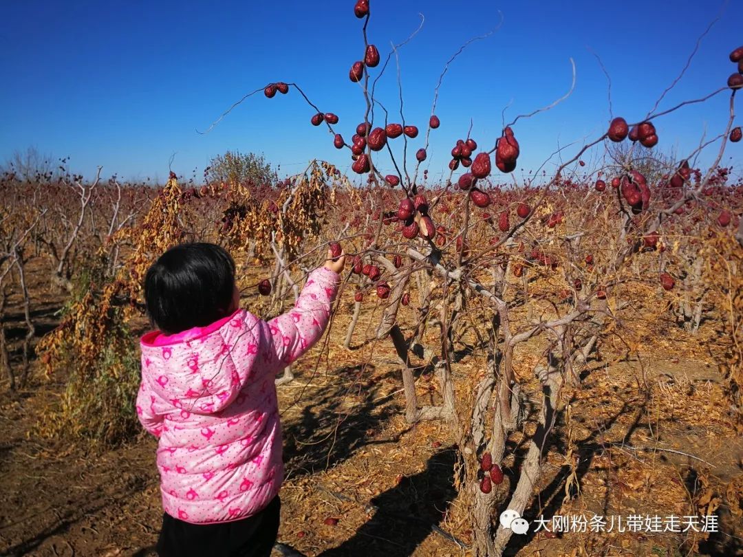 舌尖上的中国旅行,跟着舌尖上的中国去旅游