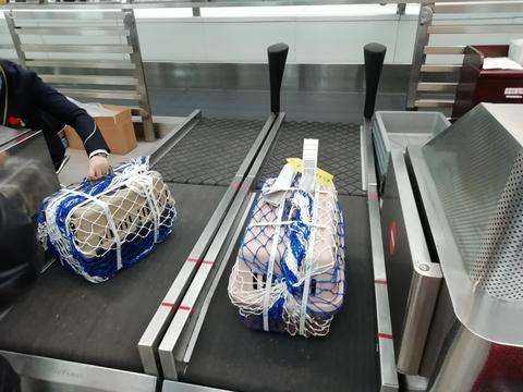 想过带猫咪一起去旅行吗？有3种方式可以选择哦，最后一种最适合