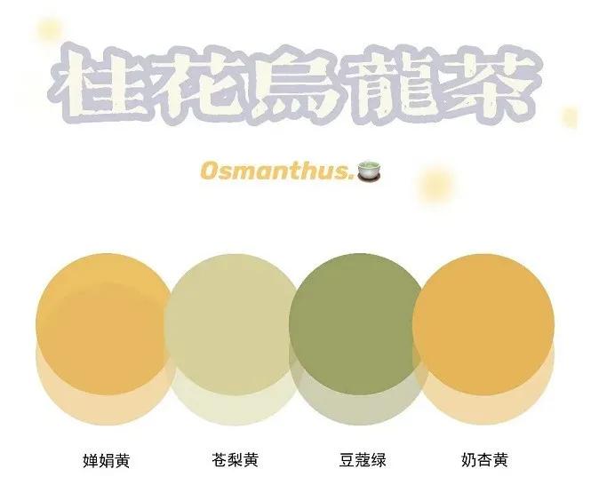 文具安利2019年,年度国产文具安利