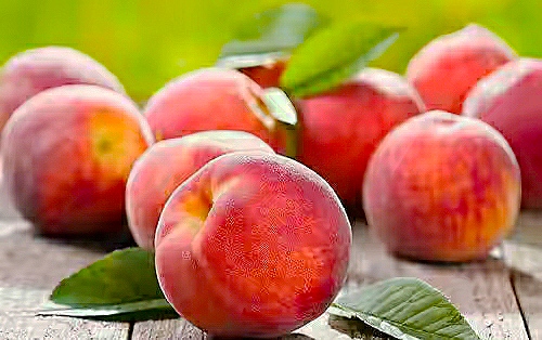 桃子放冰箱更容易坏吗,桃子放冷藏里为什么很快就坏了