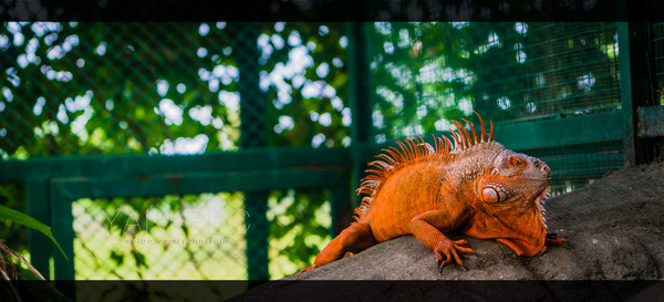 泰国旅游漫游,最新鲜玩转泰国攻略