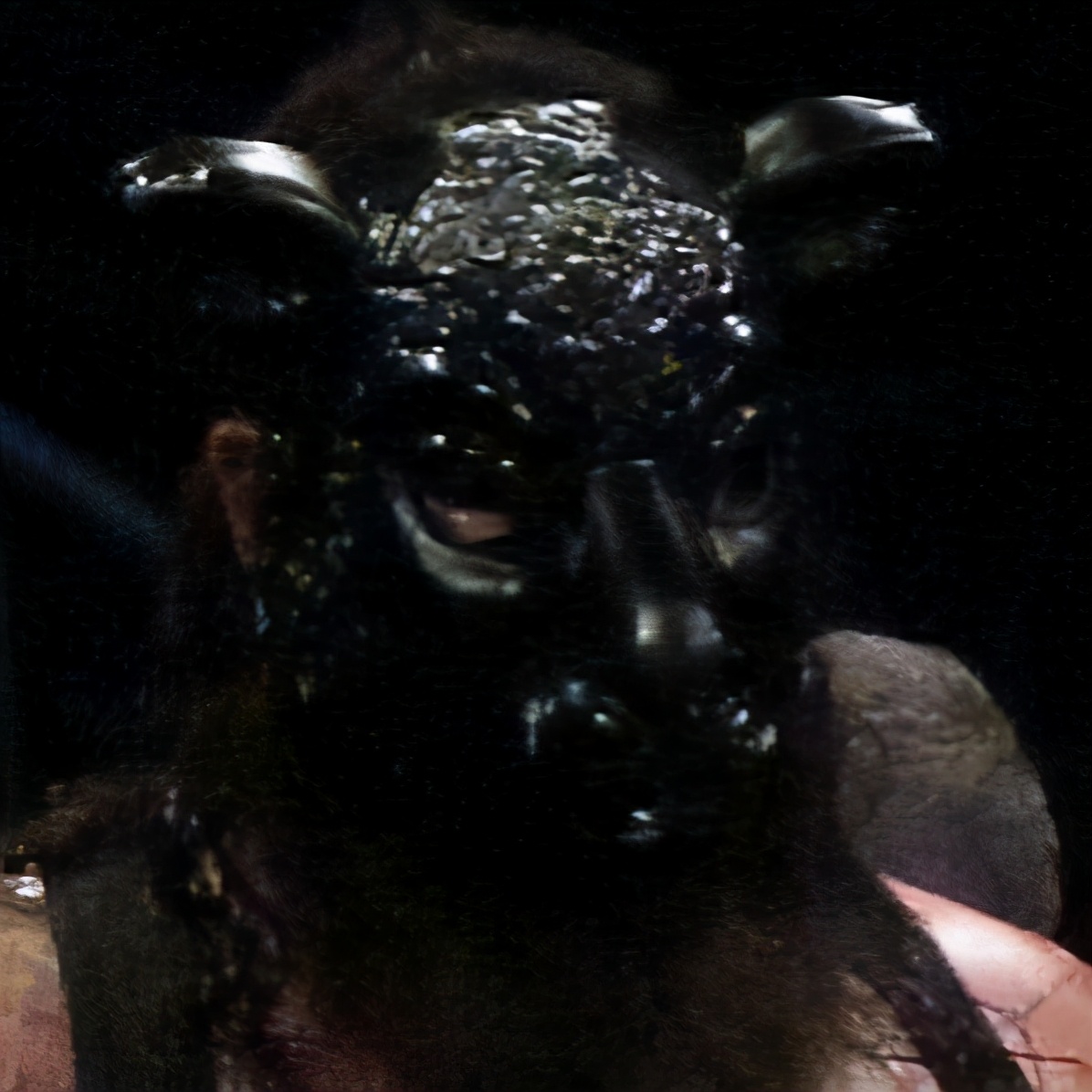 黑羊wwe的力量有多大,黑羊参加大力士比赛的视频