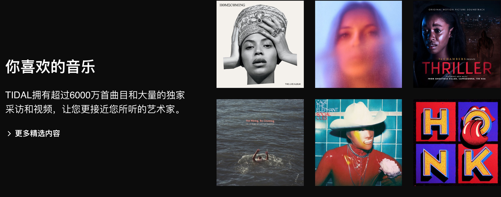 能免费下音乐的应用,能下免费音乐伴奏的软件