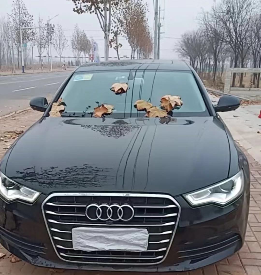 汽车车罩有必要天天使用吗,车衣罩有必要经常罩吗