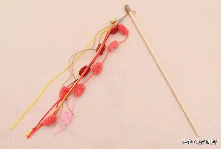 脚气传染猫咪 (猫咪脚气一般什么症状)