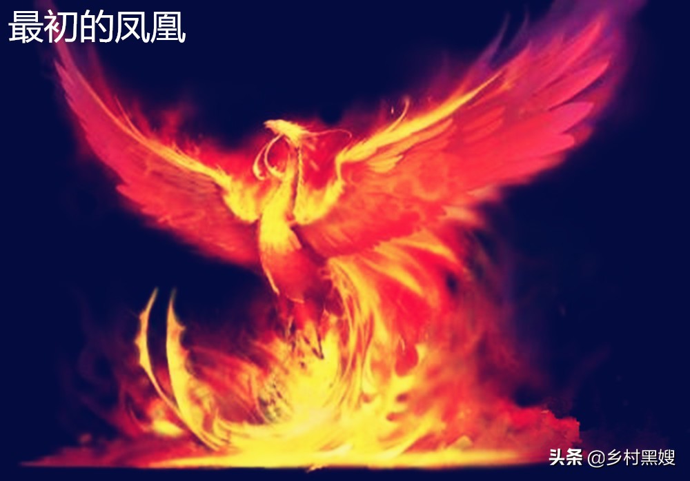 神鸟凤凰是什么样子,神鸟凤凰山海经