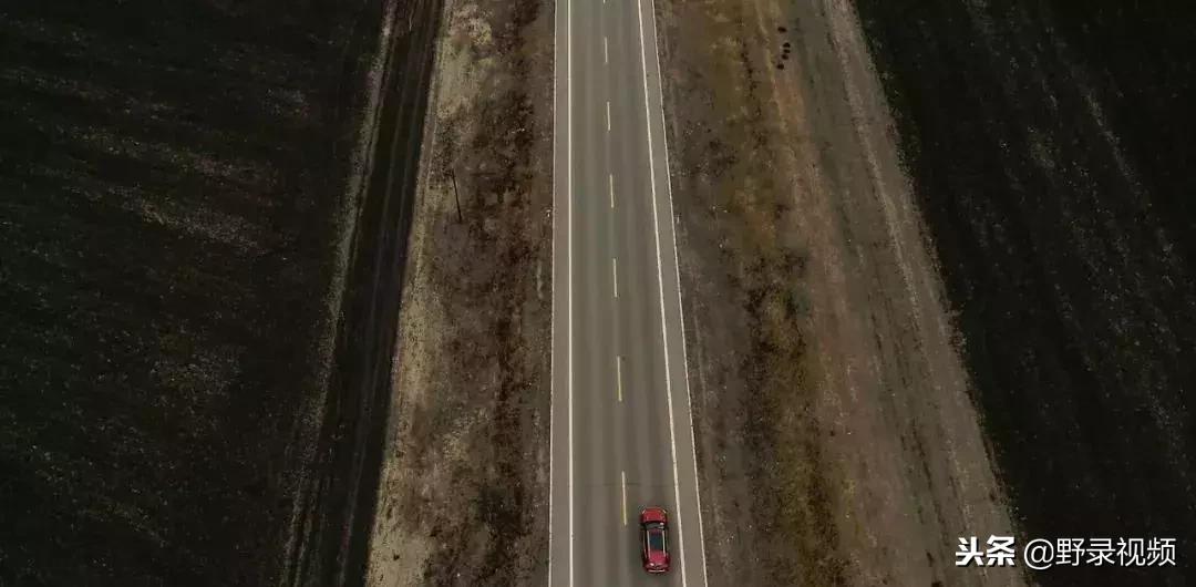 敖鲁古雅原始部落驯鹿喂草,敖鲁古雅驯鹿旅行