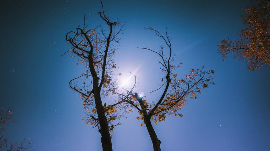 李贺最著名的十首鬼诗,李贺写的最诡异的一首诗是什么诗