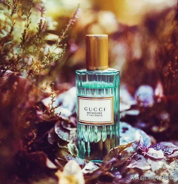 gucci香水和香奈儿香水哪个好,2019款gucci香水