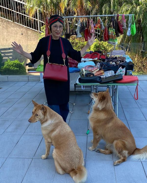 汪明荃豪宅完整版,汪明荃有多少豪宅