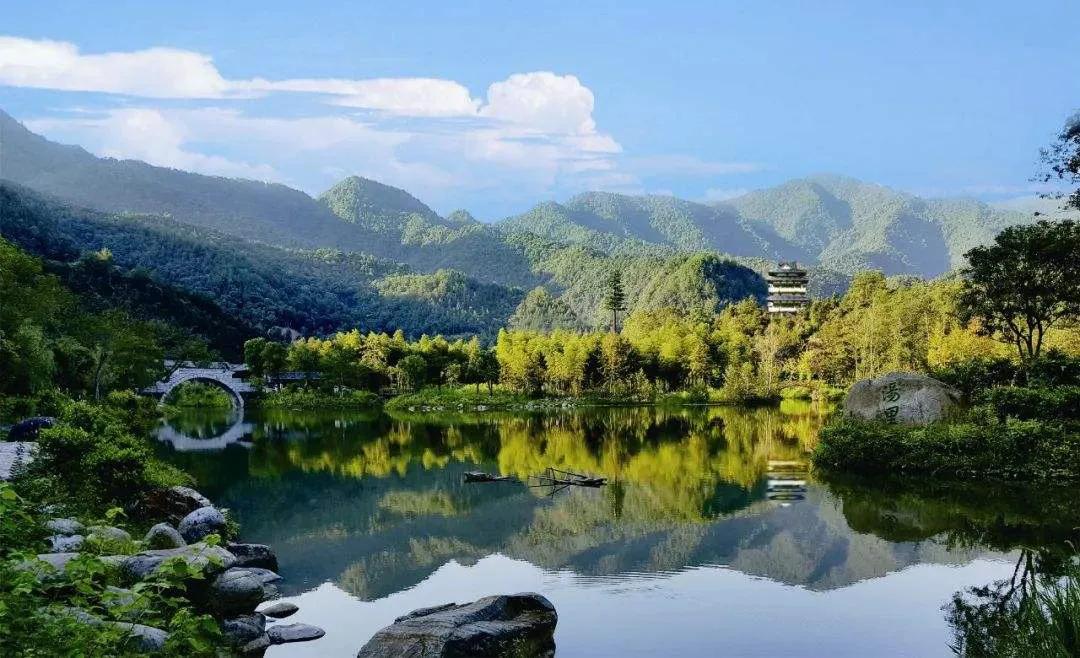 江西铜鼓康养胜地,江西红豆杉景区