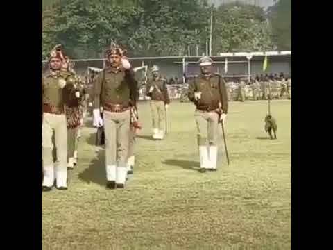 印度猴子被人类暴揍视频,印度猴子挑衅人类被暴打了