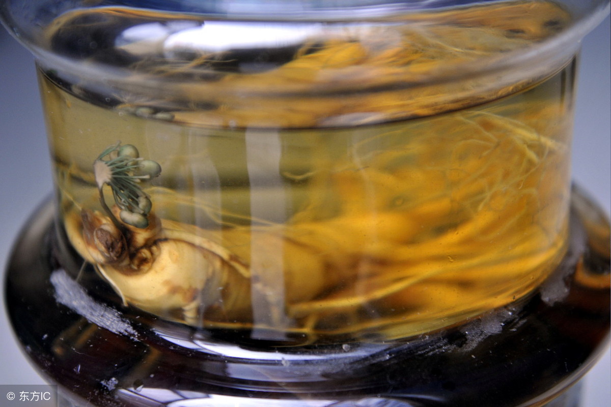 吃人参可以预防癌症吗,常吃人参危害