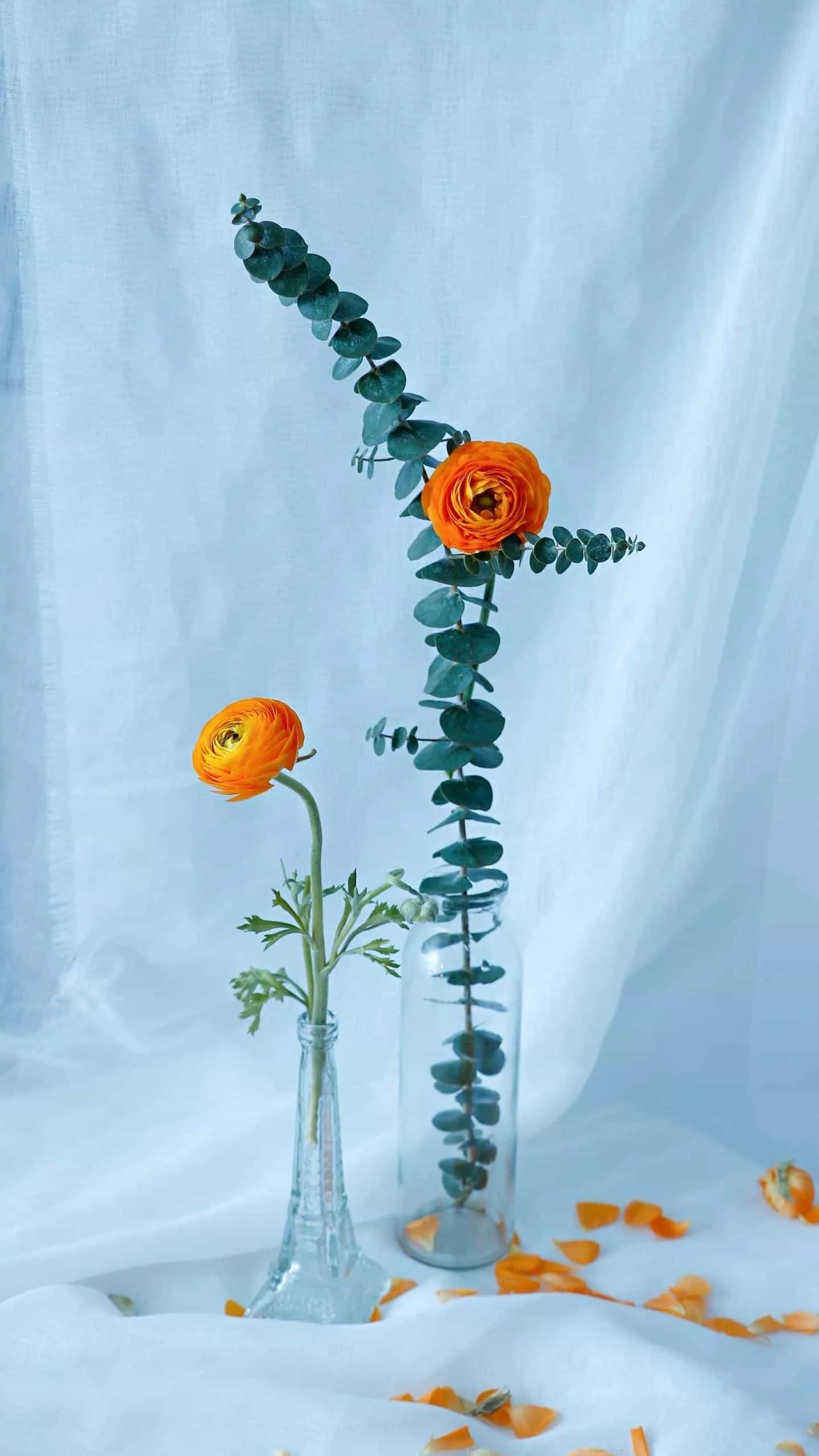 健康又快速减肥食谱,快速健康减肥一日三餐