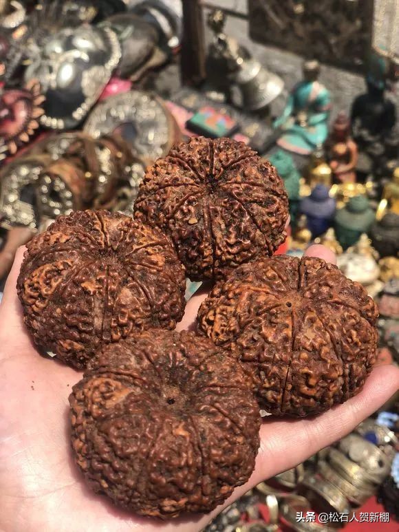 半个手掌大的金刚，一颗值500美元？