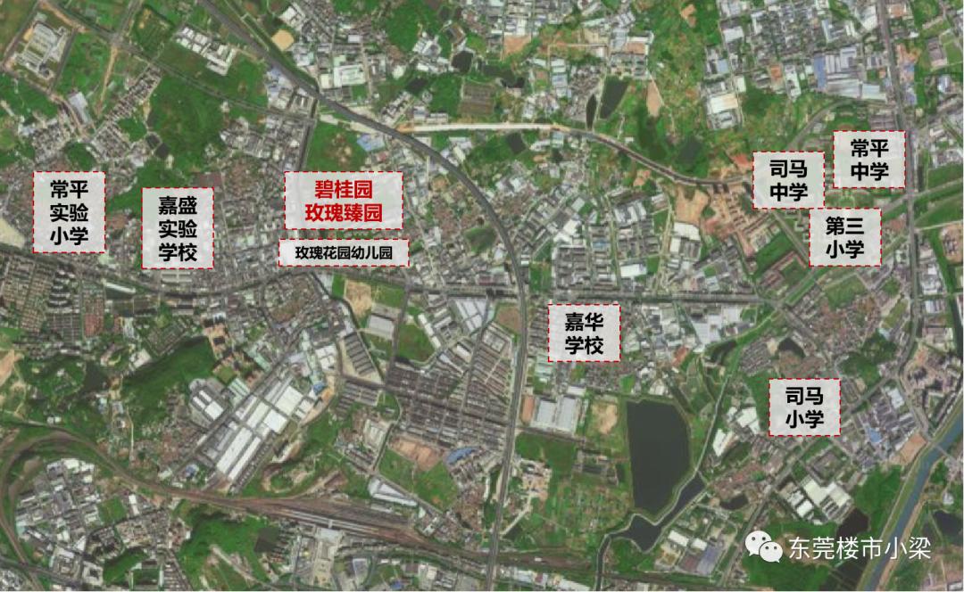 疫情后楼盘首开,东莞碧桂园玫瑰臻园户型图