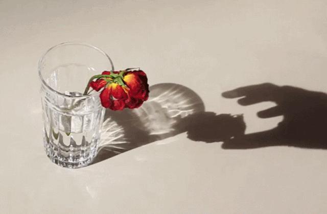 宅宅的风格拍照,绝美宅家拍照教程秒get氛围感照片