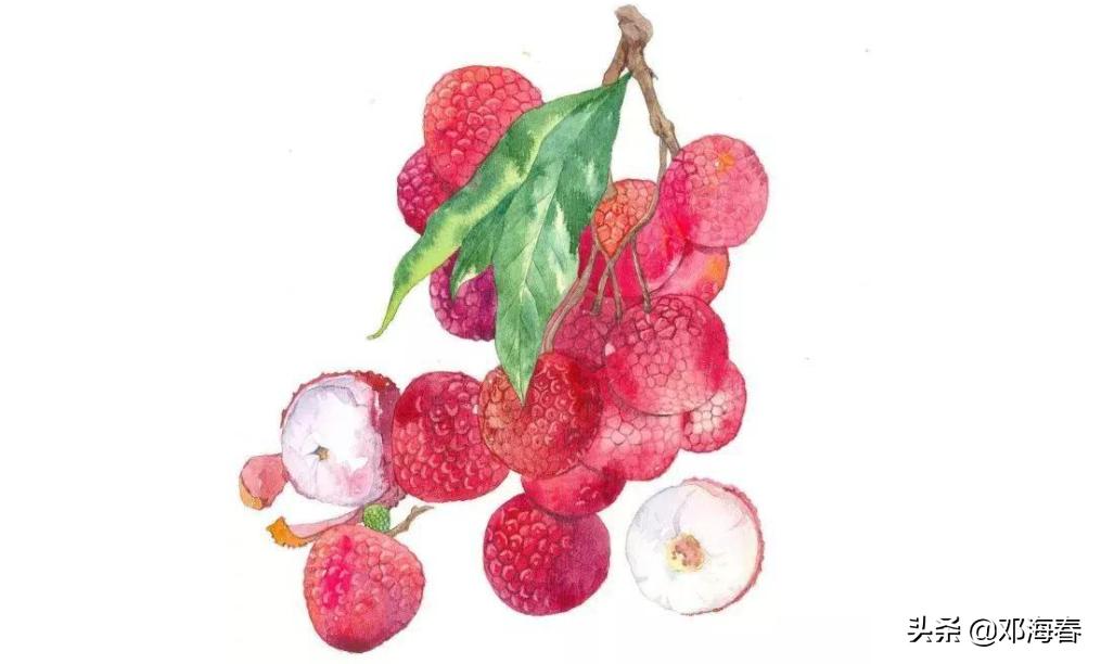 杨贵妃为什么集3千宠爱于一身,杨贵妃为什么嫁给唐明皇