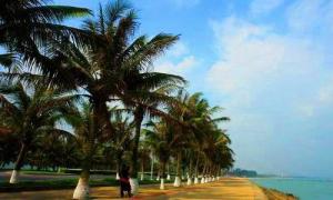 海南省海口市秀英区领导,海南省海口市秀英区政府