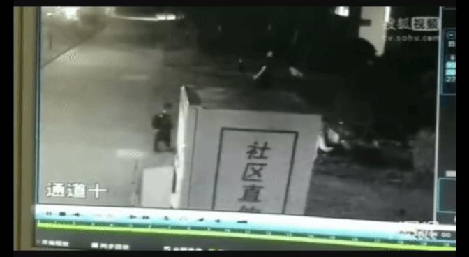 舍友非要在宿舍养猫怎么办,有人在寝室养宠物要怎么协调