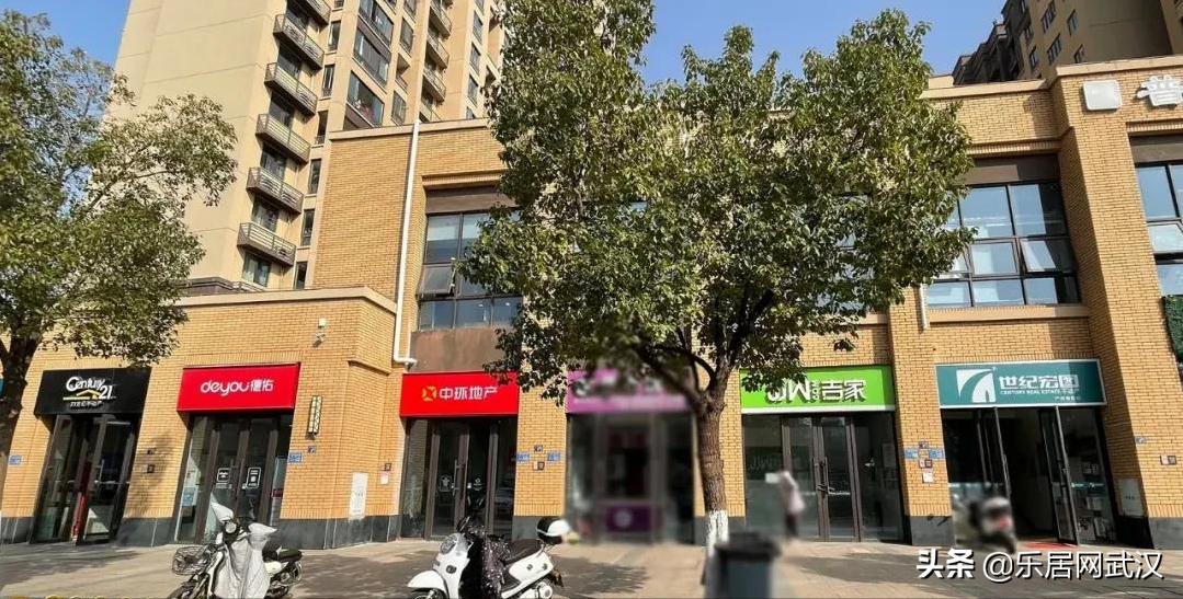 实探bp,实盘抓牛股