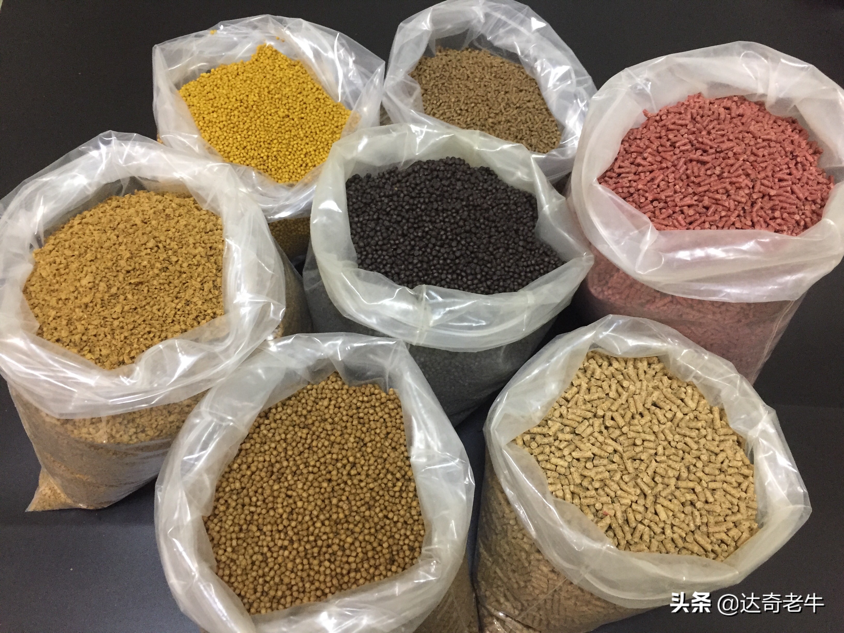 解密鱼饵是怎样制造的,解密鱼饵诱食剂