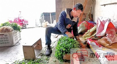 重庆长江禁渔十年最新成果,2019重庆自然水域禁渔期