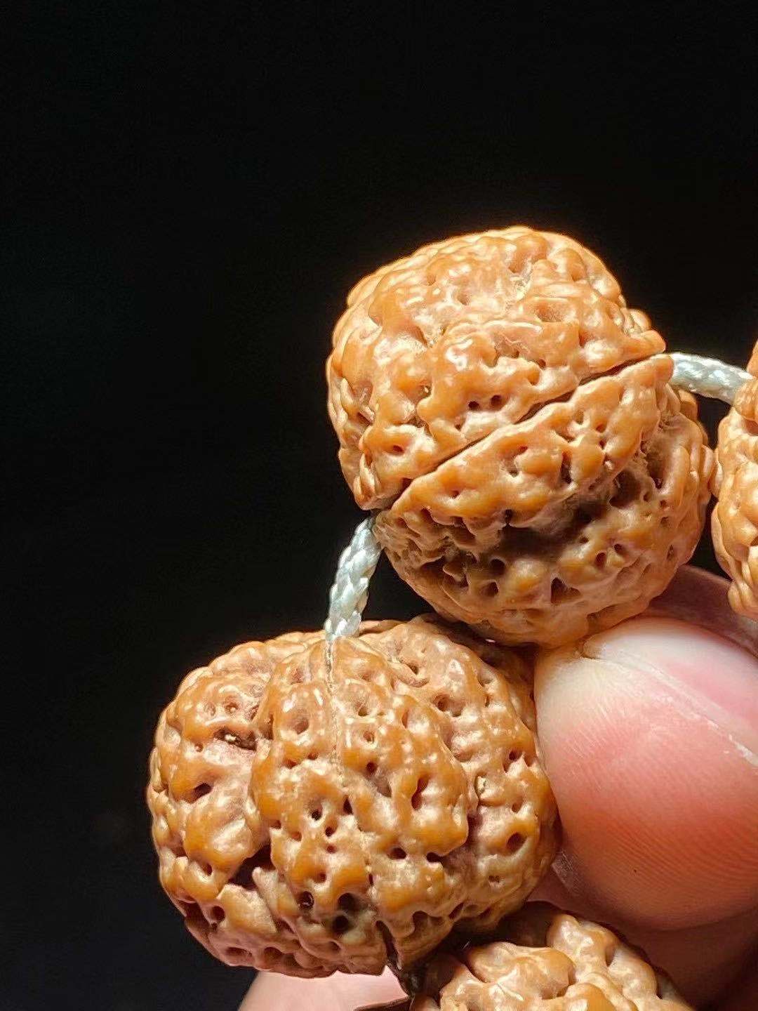 大金刚和小金刚的区别图片,新手入门大金刚