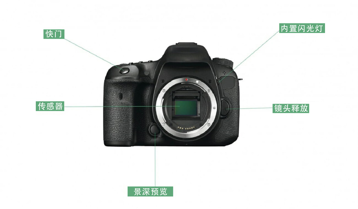 nikon18-105单反相机入门教程,单反相机基础知识入门