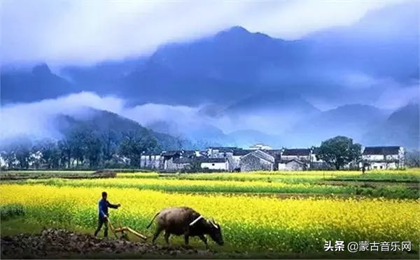 新歌推荐|乌兰娜《童年的油菜花》油菜花开正当时不负*光春**不负己