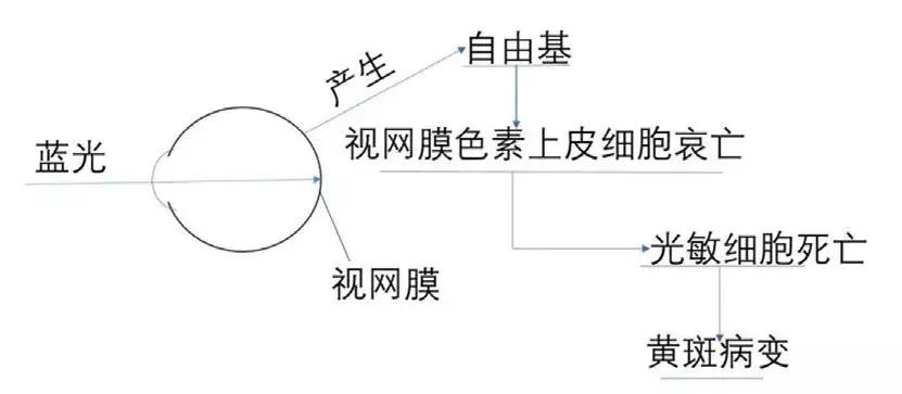 led蓝光灯对人有危害吗,led蓝光对人体的危害是什么