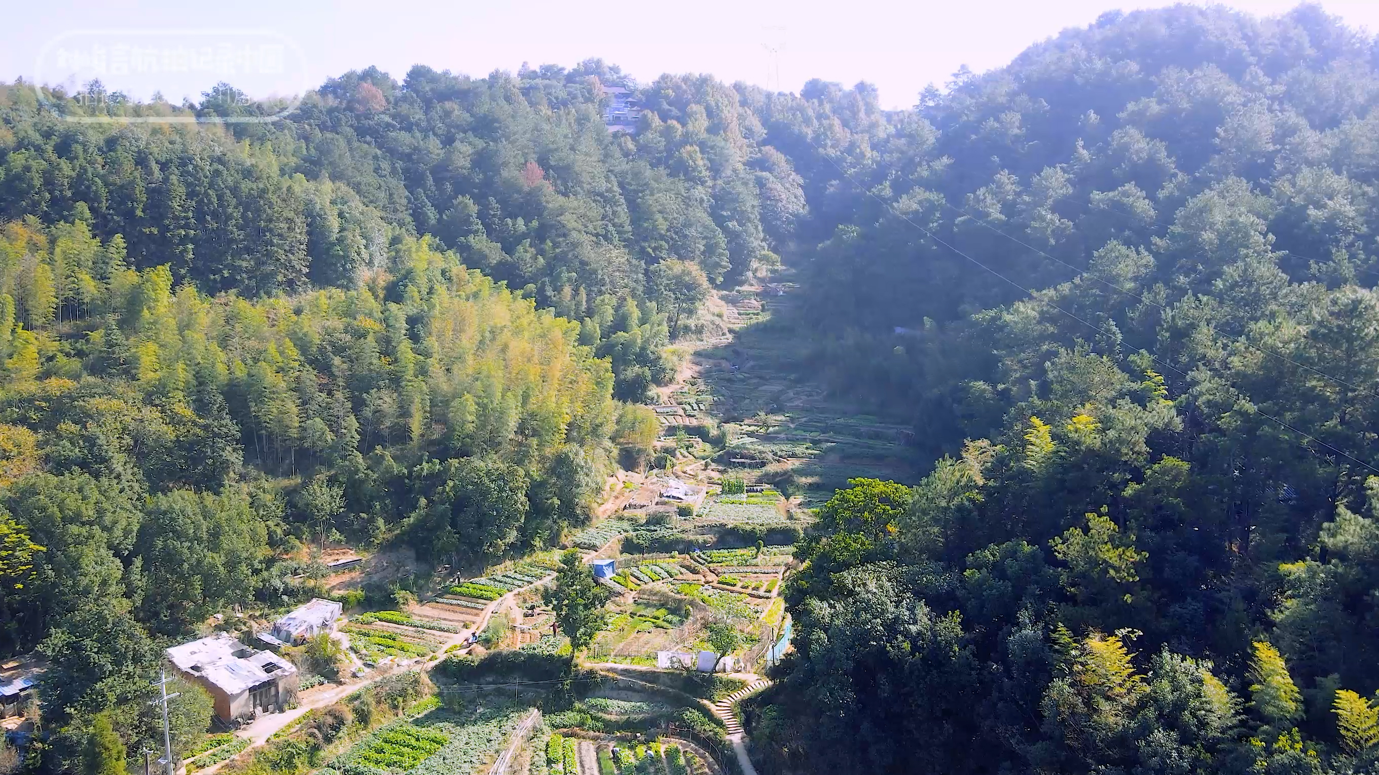 龙泉宝剑为啥叫龙泉,龙泉宝剑来自于龙泉市吗