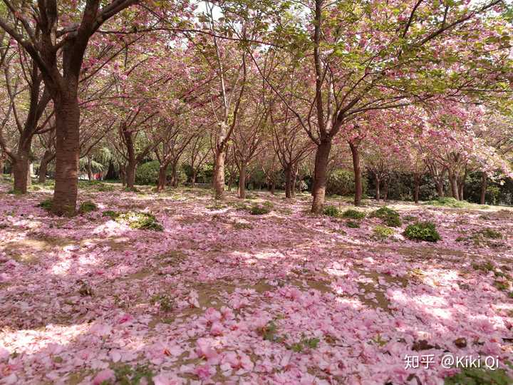 郑州有什么好玩的地方推荐,郑州有什么好玩的地方适合小孩子