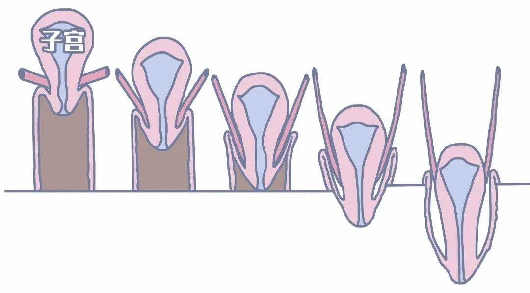 孕产培训公开课,孕产护理课