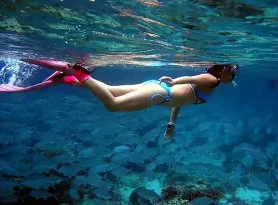 全球惊艳的10个海底世界，看到第一个就想出发！