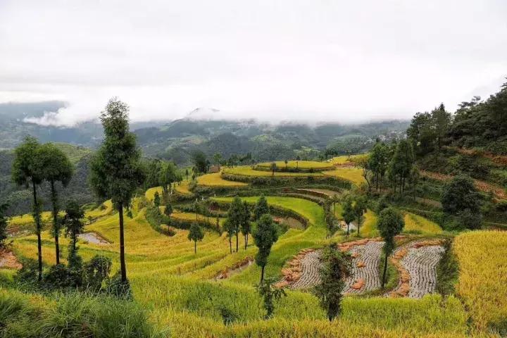 楠溪江好的精品民宿哪家比较好,中国楠溪江