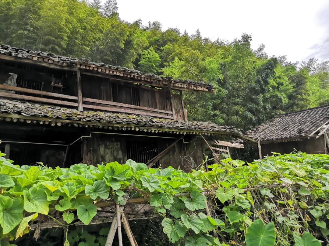 我要去旅行英文,我要去旅行完整版