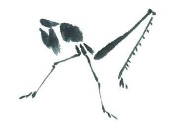 残荷蜻蜓国画画法及调色,徐湛国画蜻蜓的画法