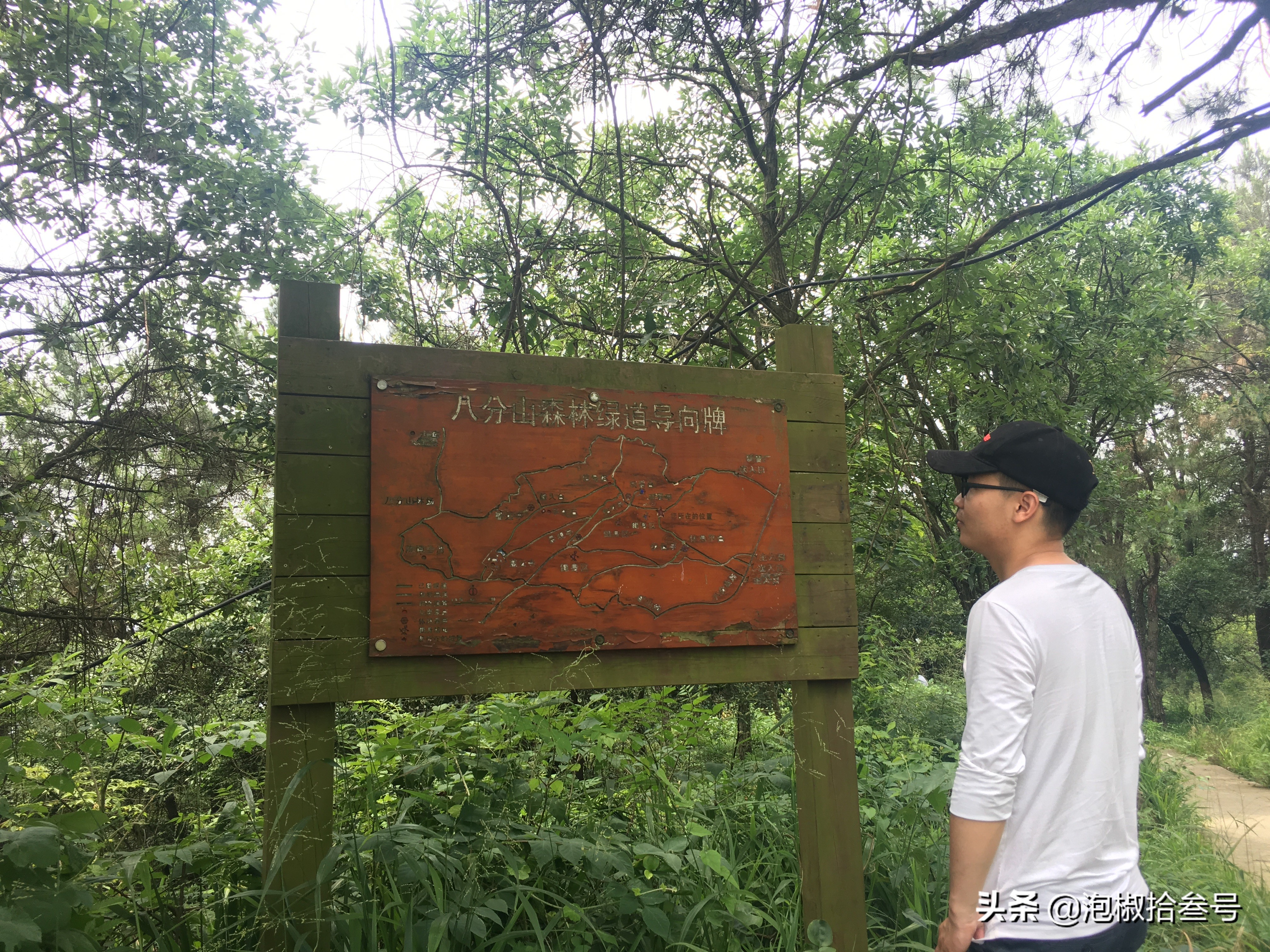 武汉江夏区纸坊有什么好玩的地方,武汉江夏纸坊是哪