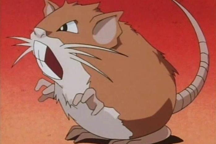 《宝可梦》生态与来源：凶神恶煞的拉达其实是非常萌的荷兰猪？